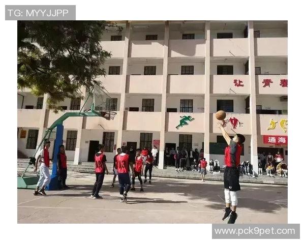 南京篮球队选拔赛特别报道见证成长与拼搏的青春故事