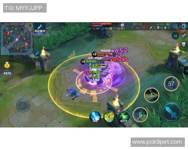 TES团队协作的成功秘诀与王者荣耀战术分析探讨