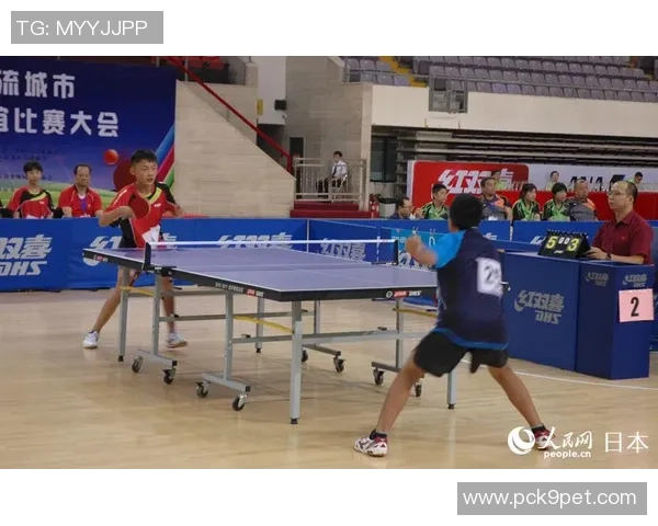 广州乒乓球队转型纪实：从传统到现代的奋斗与蜕变之路