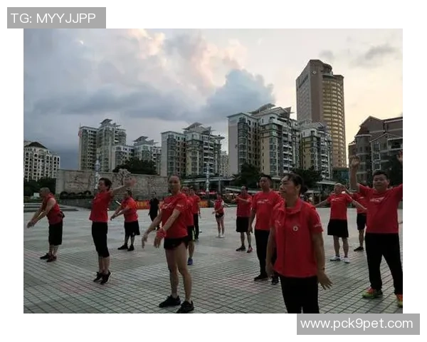 深圳极限运动队成员个人能力表现的数据分析与探讨