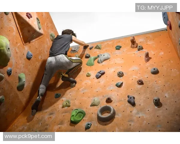 杭州攀岩队的快攻策略与训练揭秘深度解析攀岩运动的魅力与挑战